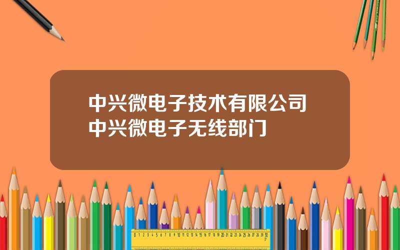 中兴微电子技术有限公司 中兴微电子无线部门